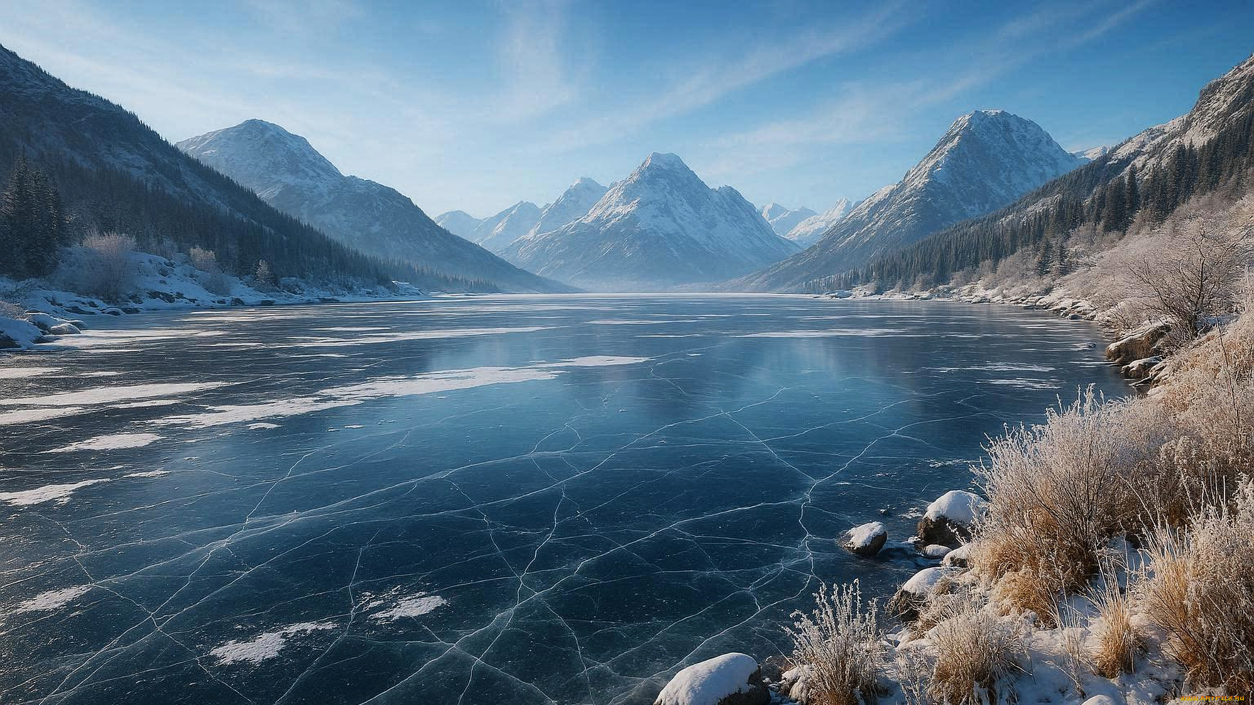 ���������, 3� �������, ������� , nature, ����, ����, �����, ���